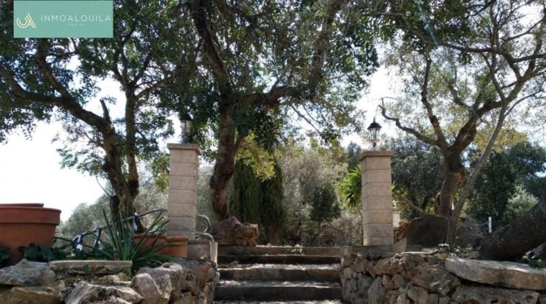 Islas Baleares - Mancor del Valle - 24609m2