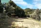 Xalet independent amb terreny en venda a la España, Mancor de la Vall, ref.: TR134960 foto