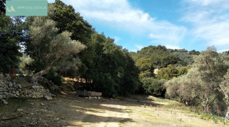 Islas Baleares - Mancor del Valle - 24609m2