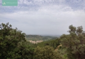 Xalet independent amb terreny en venda a la España, Mancor de la Vall, ref.: TR134960 foto