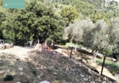 Xalet independent amb terreny en venda a la España, Mancor de la Vall, ref.: TR134960 foto