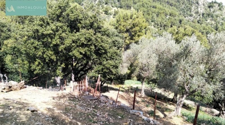Islas Baleares - Mancor del Valle - 24609m2