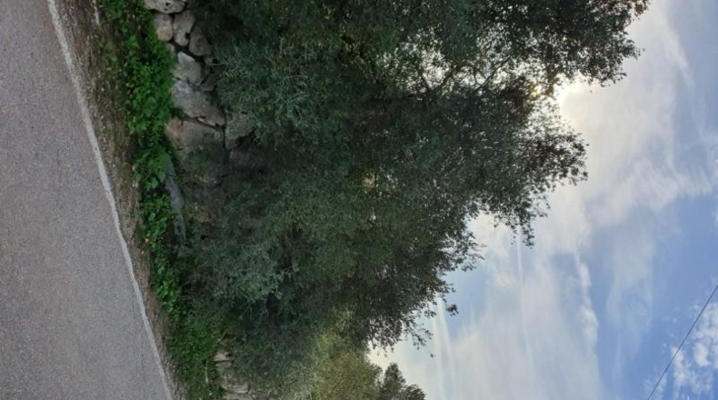 Islas Baleares - Pòrtol - 1307m2