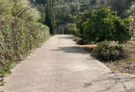 Foto 7