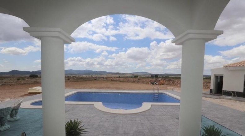 Alicante - Pinoso - 10000m2