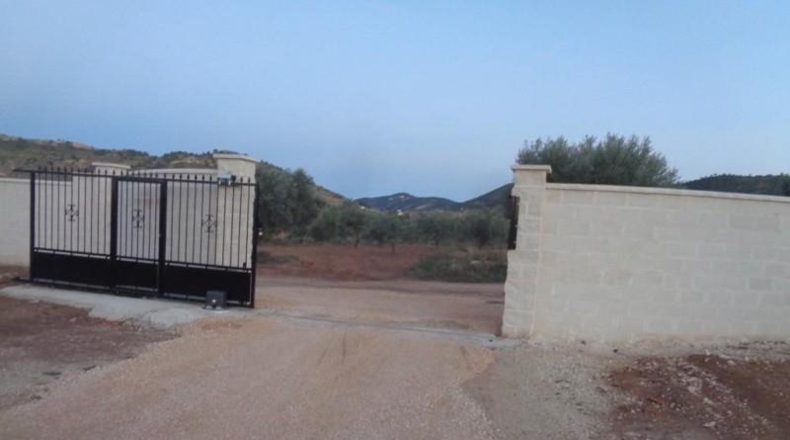 Alicante - Pinoso - 10000m2