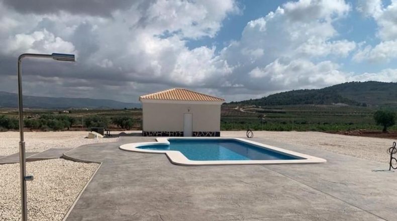 Alicante - Pinoso - 10000m2