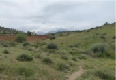 Land suitable for development for sale on España, Huétor Vega, ref: TR325188 photo