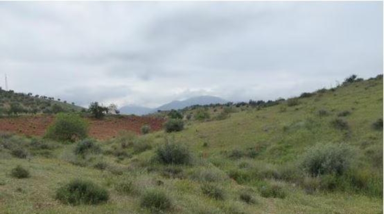 Granada - Huétor Vega - 44595m2