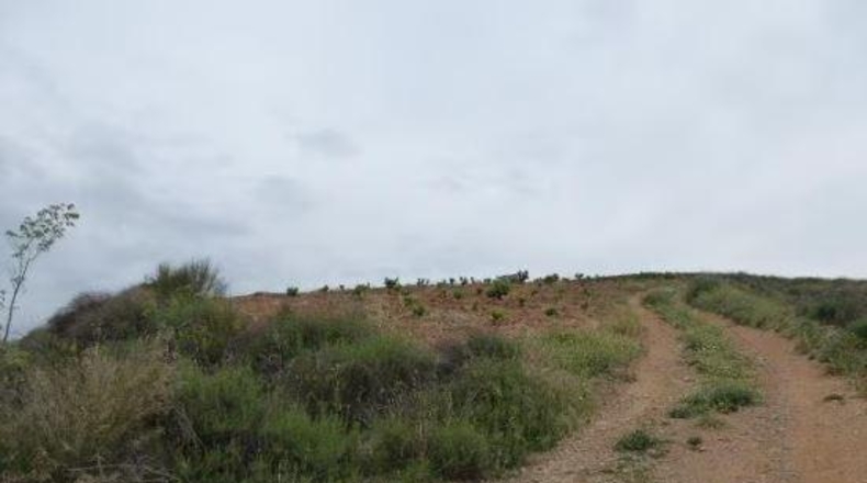 Granada - Huétor Vega - 44595m2