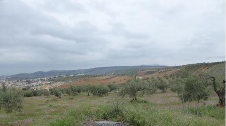 Granada - Huétor Vega - 44595m2