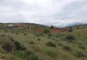 Land suitable for development for sale on España, Huétor Vega, ref: TR325188 photo