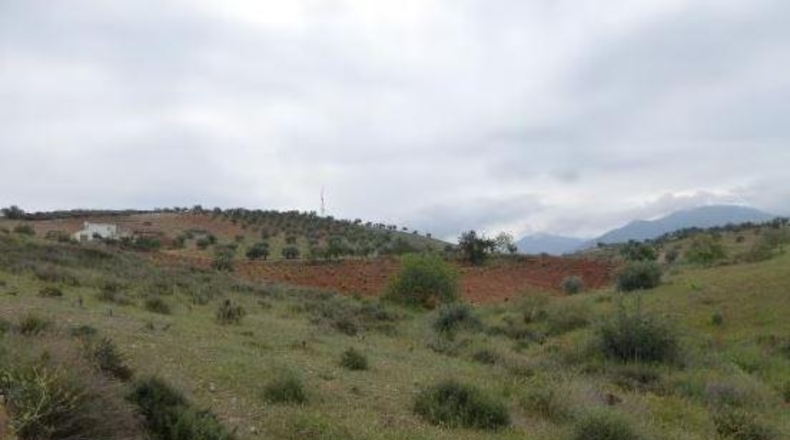 Granada - Huétor Vega - 44595m2