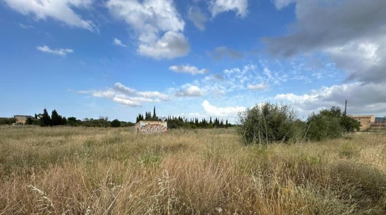 Balearic Islands - Santa Maria del Camí - 2571m2