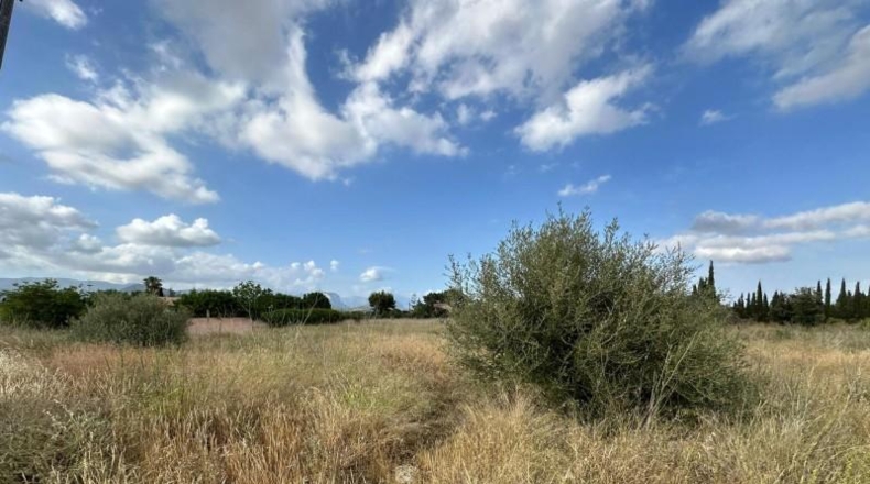 Balearic Islands - Santa Maria del Camí - 2571m2