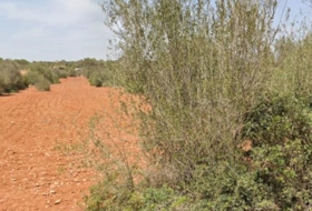 Cala Santanyí 18000&nbsp;m²