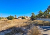 Casa de camp amb terreny en venda a la España, Elx, ref.: TR152698 foto