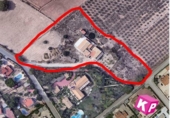 Casa de camp amb terreny en venda a la España, Elx, ref.: TR152698 foto