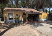 Xalet independent amb terreny en venda a la España, Tordesillas, ref.: TR145794 foto