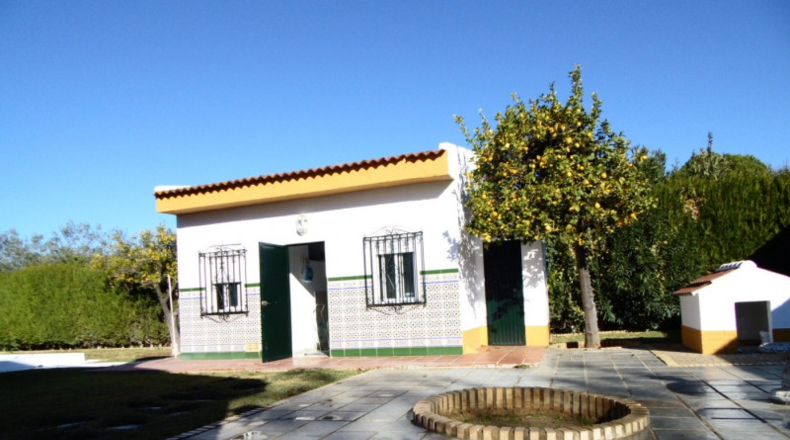 Sevilla - Umbrete - 1350m2