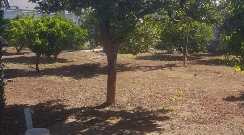 Córdoba - Córdoba - 2100m2