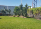 Xalet independent amb terreny en venda a la España, Còrdova, ref.: TR235639 foto