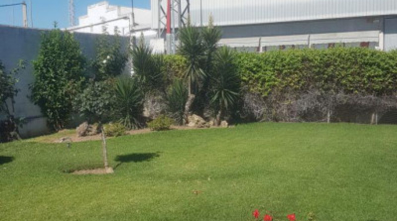 Córdoba - Córdoba - 2100m2