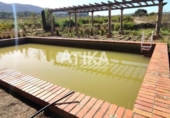 Xalet independent amb terreny en venda a la España, Ontinyent, ref.: TR141760 foto