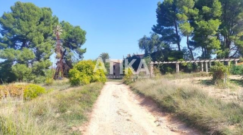 Valencia - Onteniente - 98360m2