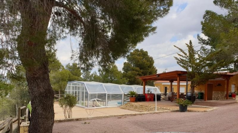 Alicante - Elda - 10000m2