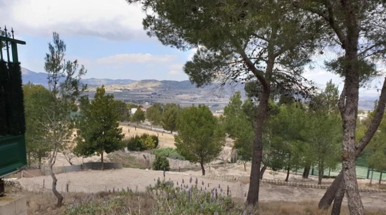 Alicante - Elda - 10000m2