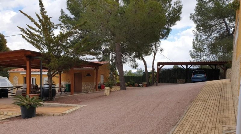 Alicante - Elda - 10000m2