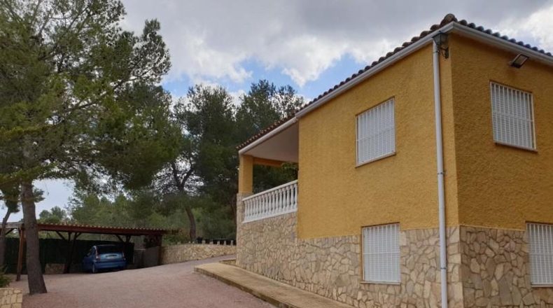 Alicante - Elda - 10000m2