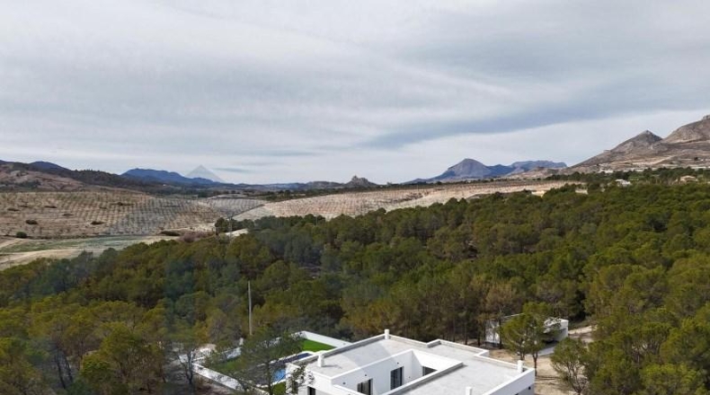 Murcia - Lorca - 20000m2
