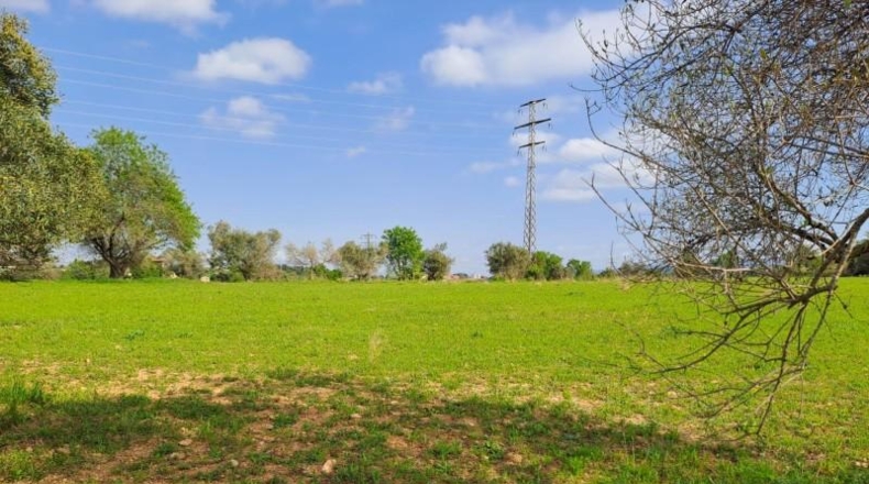 Barcelona - Terrassa - 27760m2