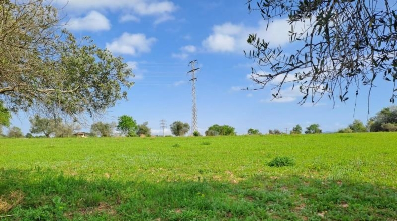 Barcelona - Terrassa - 27760m2