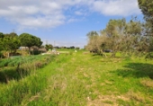 Terreny no urbanitzable en venda a la España, Terrassa, ref.: TR286905 foto