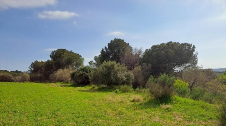 Barcelona - Terrassa - 27760m2
