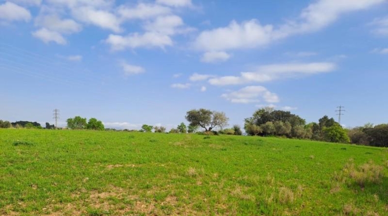 Barcelona - Terrassa - 27760m2