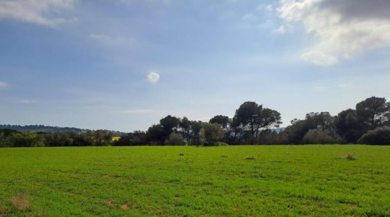Barcelona - Terrassa - 27760m2