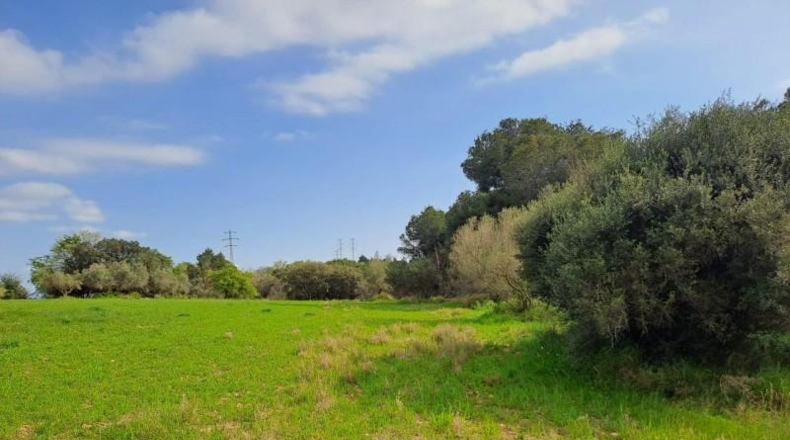 Barcelona - Terrassa - 27760m2