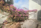 Casa de poble en venda a la España, Sanlúcar de Barrameda, ref.: TR341581 foto