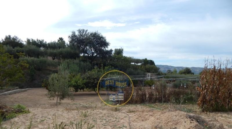 Valencia - Onteniente - 2490m2