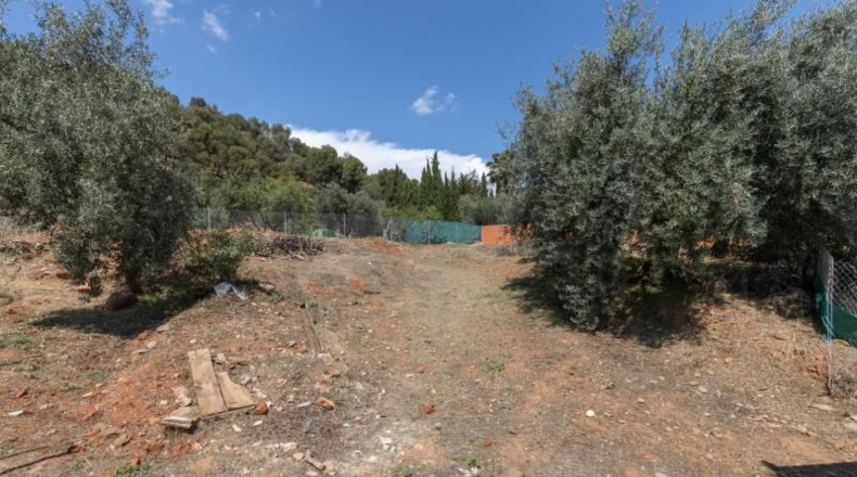 Granada - Granada - 687m2