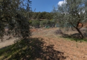 Land suitable for development for sale on España, Granada, ref: TR317936 photo