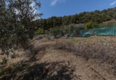 Land suitable for development for sale on España, Granada, ref: TR317936 photo