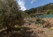 Land suitable for development for sale on España, Granada, ref: TR317936 photo