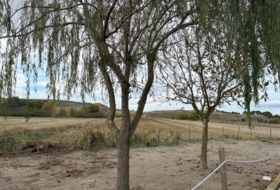 Alcalá de Gurrea 11000&nbsp;m²