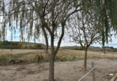 Xalet independent amb terreny en venda a la España, Alcalá de Gurrea, ref.: TR339316 foto