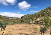 Terreno no urbanizable en venta en la España, Granadilla de Abona, ref: TR375766 foto